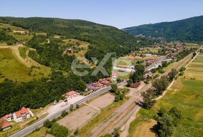 Casă individuală cu 3 camere cu Teren 3288 Mp în Bucea - 13