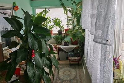 Casă individuală cu 5 camere cu Teren 1447 Mp în Sud - 14