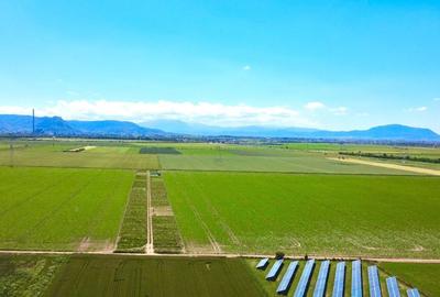 Teren agricol extravilan de 225 mp, în Hărman - 3
