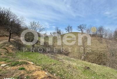 Teren de 6476 mp, în Tăuții-Măgherăuș - 3