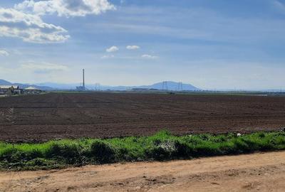 Teren de 52800 mp, în Tărlungeni - 3
