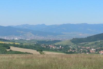 Casă individuală cu 2 camere cu Teren 1750 Mp în Berghin - 15