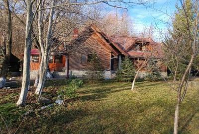 Casă cu 6 camere cu Teren 6500 Mp în Izvoarele - 2
