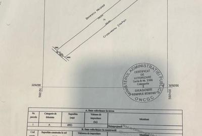 Teren de 5000 mp, în Exterior Vest