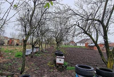 Casă cu Teren 3000 Mp în Rudna - 6
