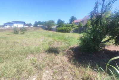 Teren Construcții intravilan de 590 mp, în Malu Mare