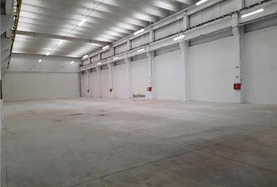 Spațiu industrial, de 660 mp, în Bărăbanț