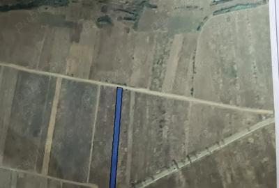 Teren de 4400 mp, în Central