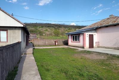 Casă cu 3 camere în Andrieșeni - 7