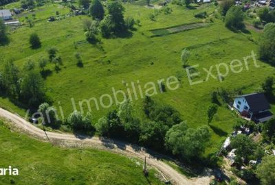 Teren de 2400 mp, în Valea Danului - 2