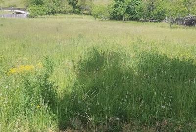 Teren de 6800 mp, în Polovragi - 8