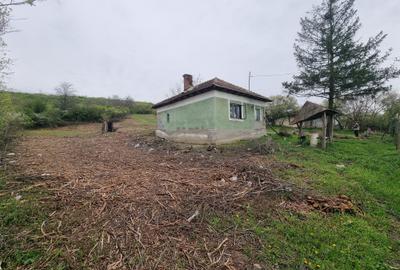 Casă cu 2 camere în Goiești - 3