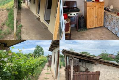 Casă cu 3 camere cu Teren 1500 Mp în Troianul - 9