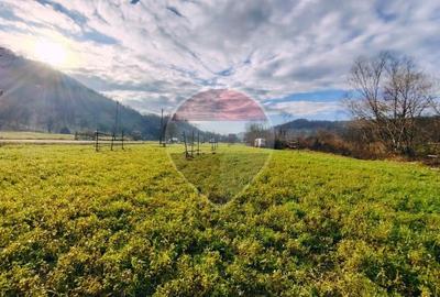 Teren de 2619 mp, în Bârsana