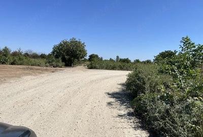 Teren de 608 mp, în Central