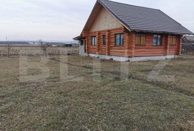 Teren de 5900 mp, în Pătrăuți - 2