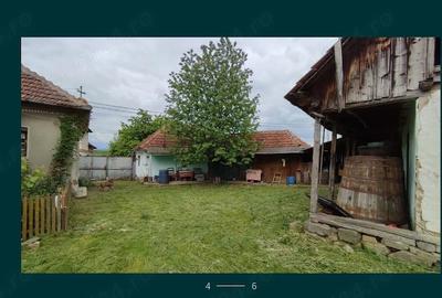 Casă cu 3 camere cu Teren 5000 Mp în Ceica - 1
