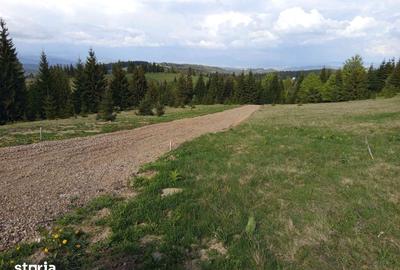 Teren de 700 mp, în Tiha Bârgăului - 10