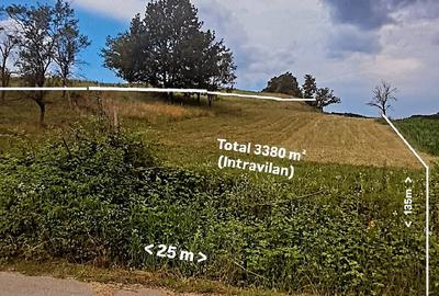 Teren de 3380 mp, în Șoimuș - 10