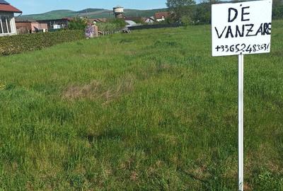 Teren de 1609 mp, în Teiu - 1