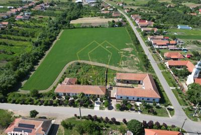 Teren de 16716 mp, în Traian Vuia - 3