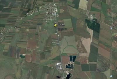 Teren agricol extravilan de 5000 mp, în Șofronea - 1