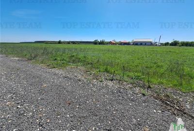 Teren Construcții intravilan de 470 mp, în Brănești - 1