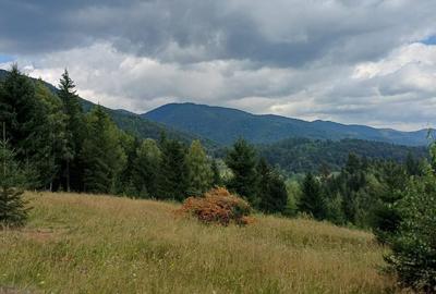 Teren de 15000 mp, în Uric