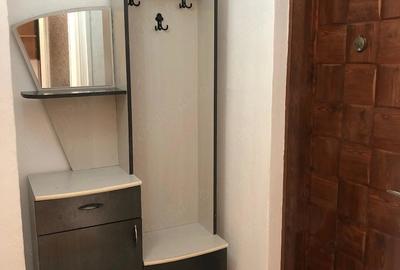 Garsonieră decomandată în Podgoria - 7