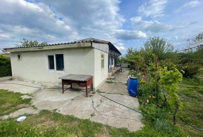 Casă cu 3 camere cu Teren 2000 Mp în Stănești - 9