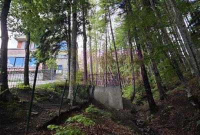 Teren intravilan de 720 mp, în Central - 6