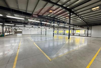 Spațiu industrial, de 7,300 mp, în Central