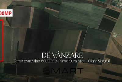Teren de 60000 mp, în Șura Mică