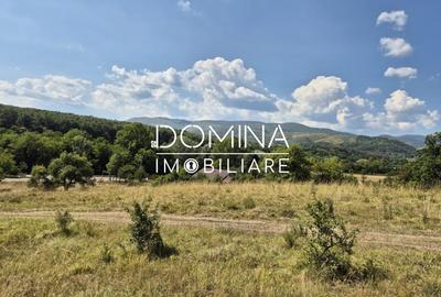 Teren Construcții intravilan de 13000 mp, în Runcu - 9
