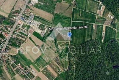 Teren de 980 mp, în Ciolpani