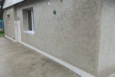 Casă cu 2 camere cu Teren 3868 Mp în Bârsănești - 5