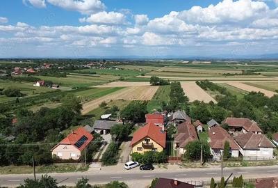 Casă cu 4 camere cu Teren 4839 Mp în Viile Satu Mare