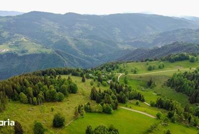 Teren de 11000 mp, în Albac - 4