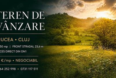 Teren de 4650 mp, în Ciucea