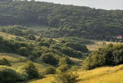 Teren de 500 mp, în Florești