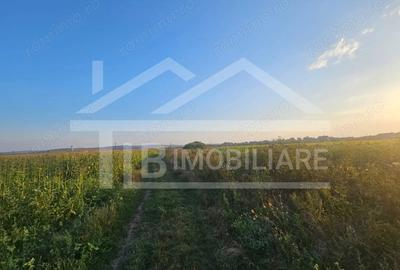 Teren de 1476 mp, în Periferie - 1