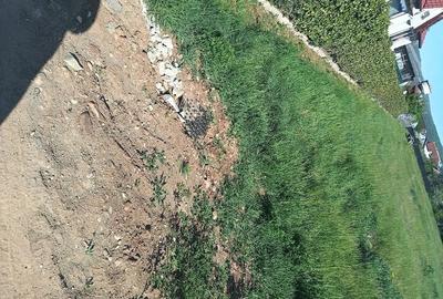 Teren de 1609 mp, în Teiu - 2