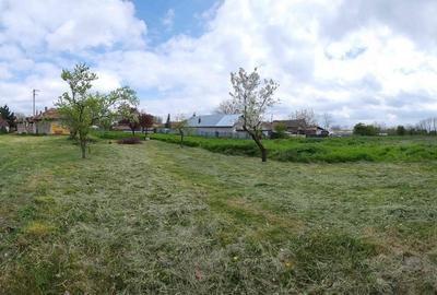 Teren de 5700 mp, în Crevedia - 6