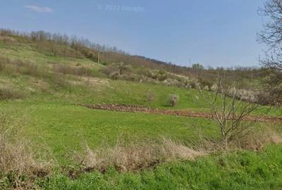 Teren de 5272 mp, în General Berthelot - 2