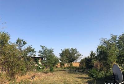 Teren de 1800 mp, în Dărăști-Vlașca