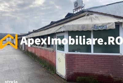 Spațiu comercial, de 500 mp, în Bălțești