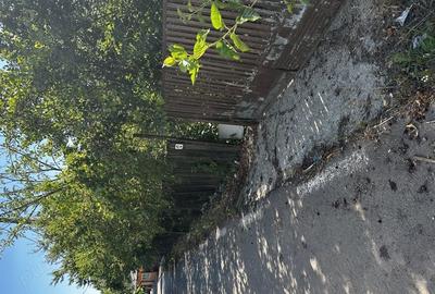 Casă cu 3 camere în Naipu