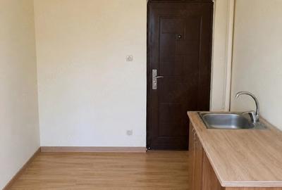 Garsonieră decomandată în Iosefin - 1