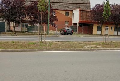 Spațiu comercial, de 40 mp, în Mehala - 5