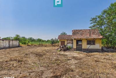 Casă cu 3 camere în Peregu Mic - 14